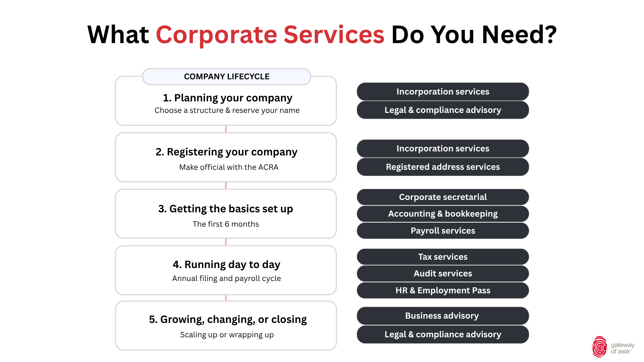 What corporate services do you need — company lifecycle diagram